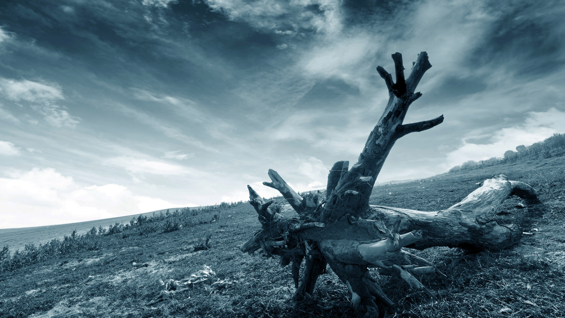 Your Training Plan Is Missing This One Brutal Day