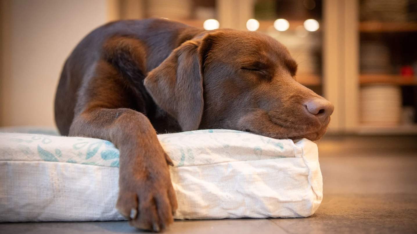 Are Sleep Trackers Accurate Enough to Matter?
